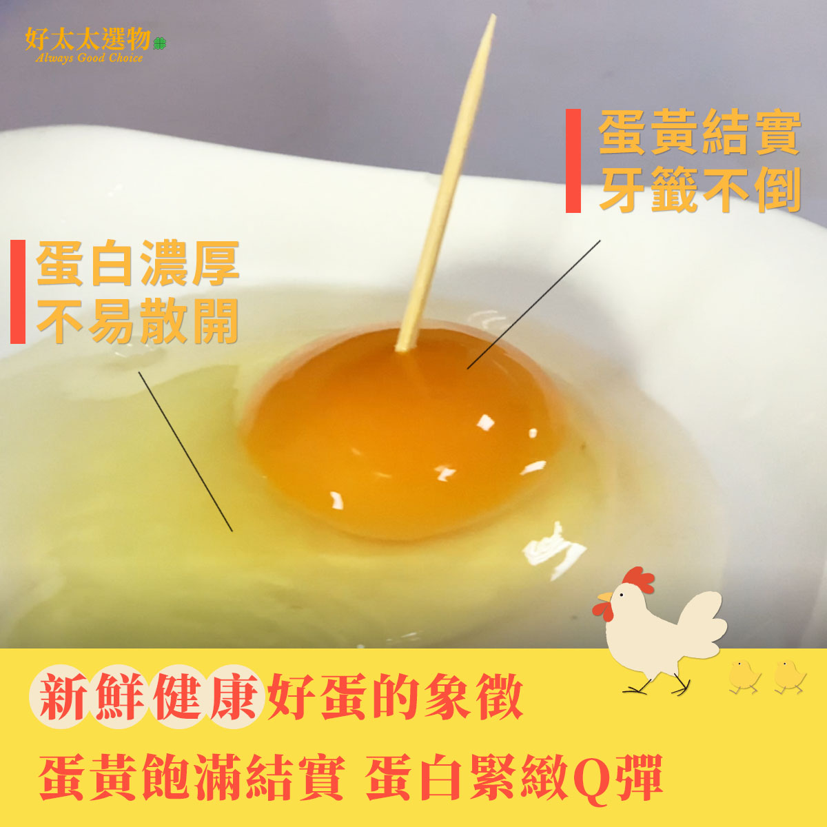 新鮮健康好蛋的象徵 蛋黃插牙籤也不倒 蛋白濃厚不易散開