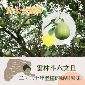 斗六文旦