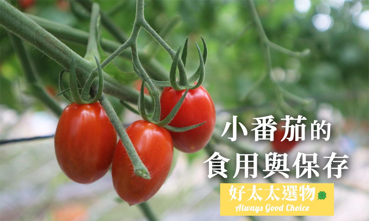 玉女小番茄的保存與食用