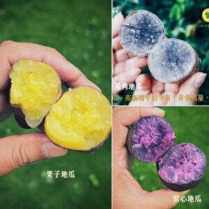 【本味道中】有機 栗子地瓜、菱角地瓜、紫心地瓜