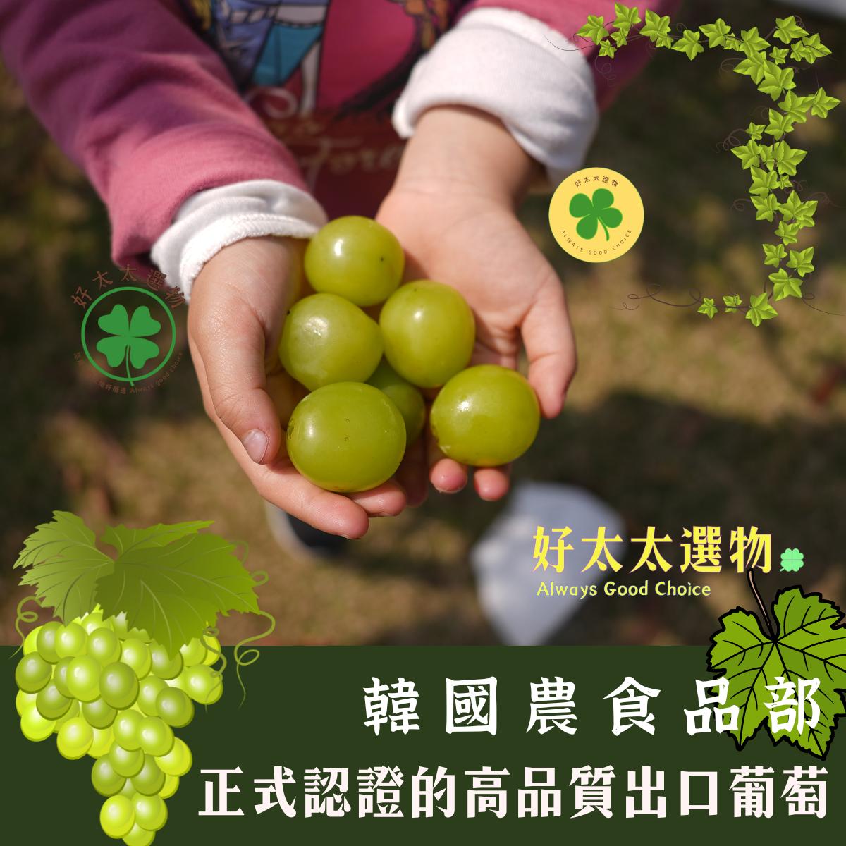 K-Grape出口前通過嚴格的質量控制和農藥殘留檢測，「K-Grape」陽光玫瑰葡萄是韓國農食品部正式認證的高品質出口葡萄。
