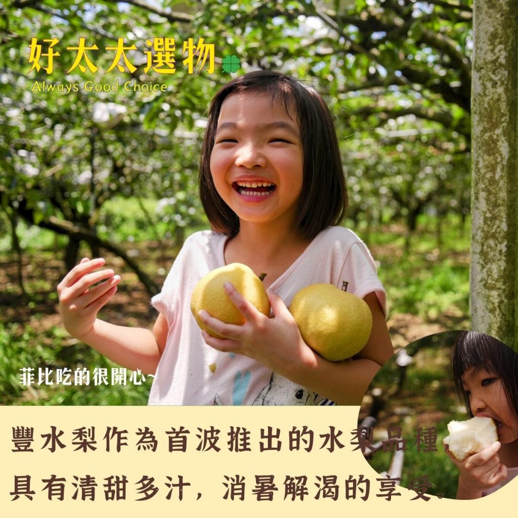 「豐水梨」夏日最清涼消暑！口味正宗傳統，今夏您最不可錯過的水梨品種！ - 好太太選物