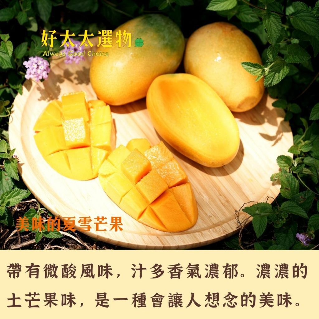 【夏天的奇蹟】「夏雪芒果」有身分證的品種 - 好太太選物