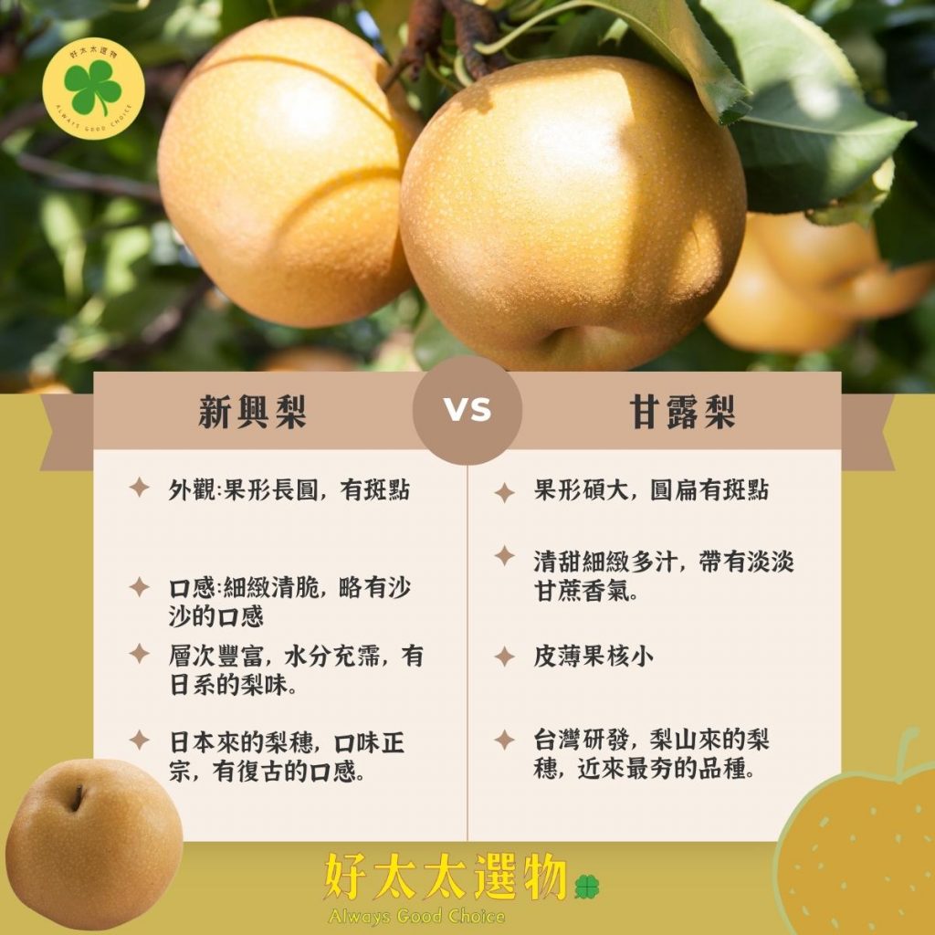 【卓蘭天成】「新興梨」9顆 禮盒裝 (11~13台兩/顆) - 好太太選物