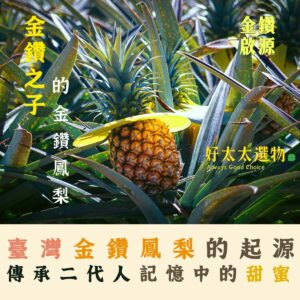 【金鑽啟源】「金鑽鳳梨」的源頭,正統傳承的鳳梨甘甜~