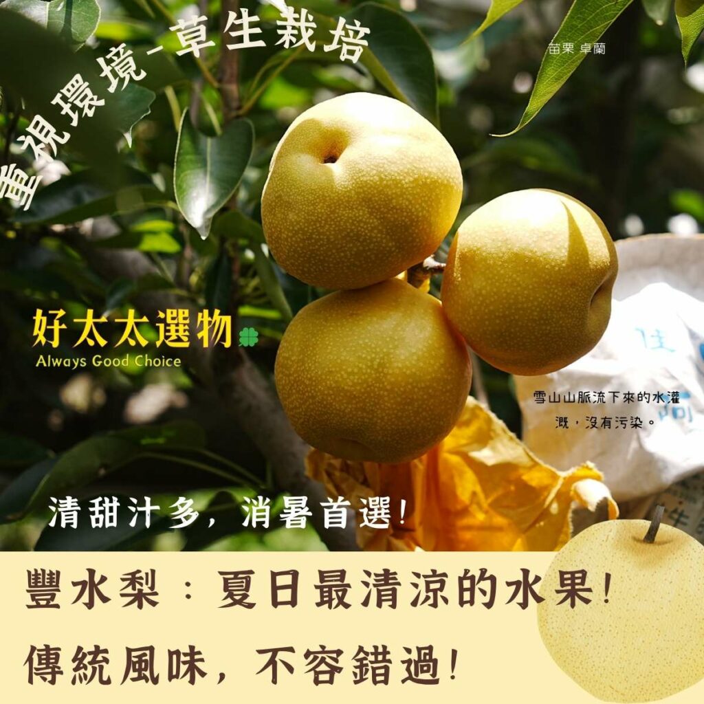 「豐水梨」夏日最清涼消暑！口味正宗傳統，今夏您最不可錯過的水梨品種！ - 好太太選物
