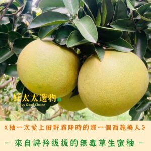 來自詩羚拔拔的無毒草生「西施蜜柚」 (10台斤裝)