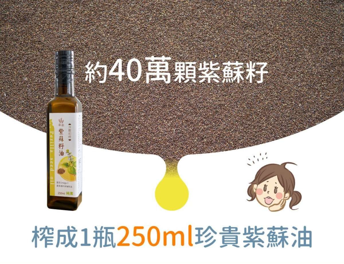 約40萬顆紫蘇籽才能榨出1瓶珍貴的250ml紫蘇油，真的是好驚人阿。