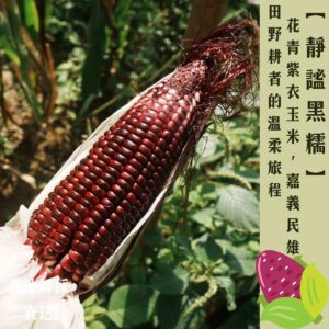 田野間的溫柔力量 — 遇見「靜謐黑糯」1箱4台斤