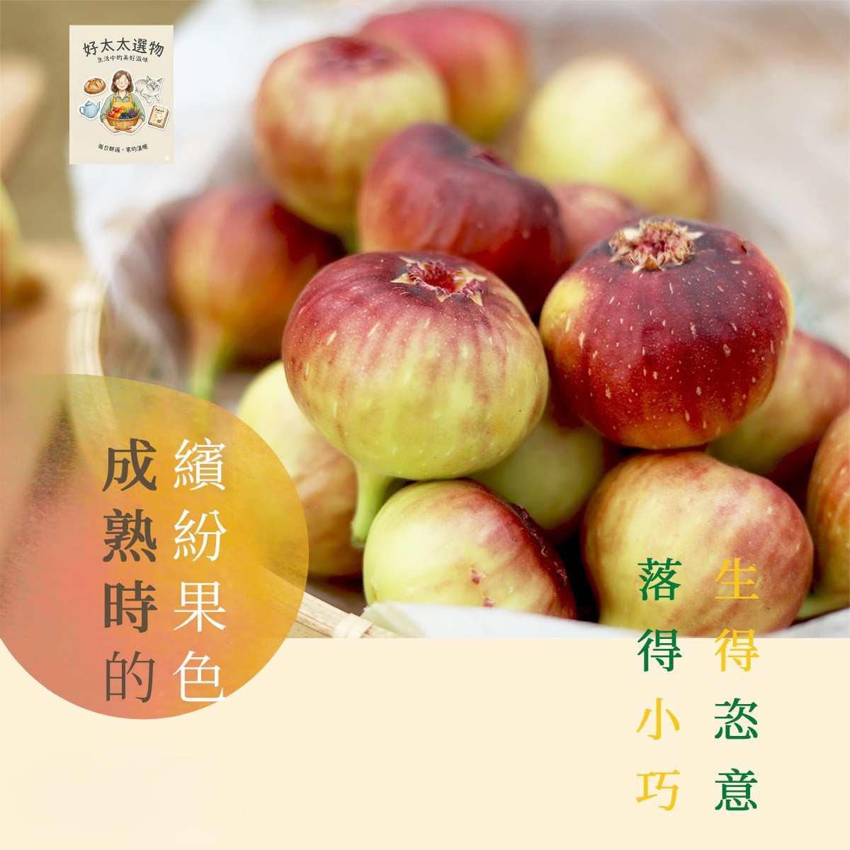 無花果成熟時的繽紛果色