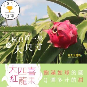 【圓滿大四喜】屏東萬丹大紅紅龍果(5台斤裝)