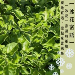 【冰花密語】澎湖將軍嶼，產地直送。