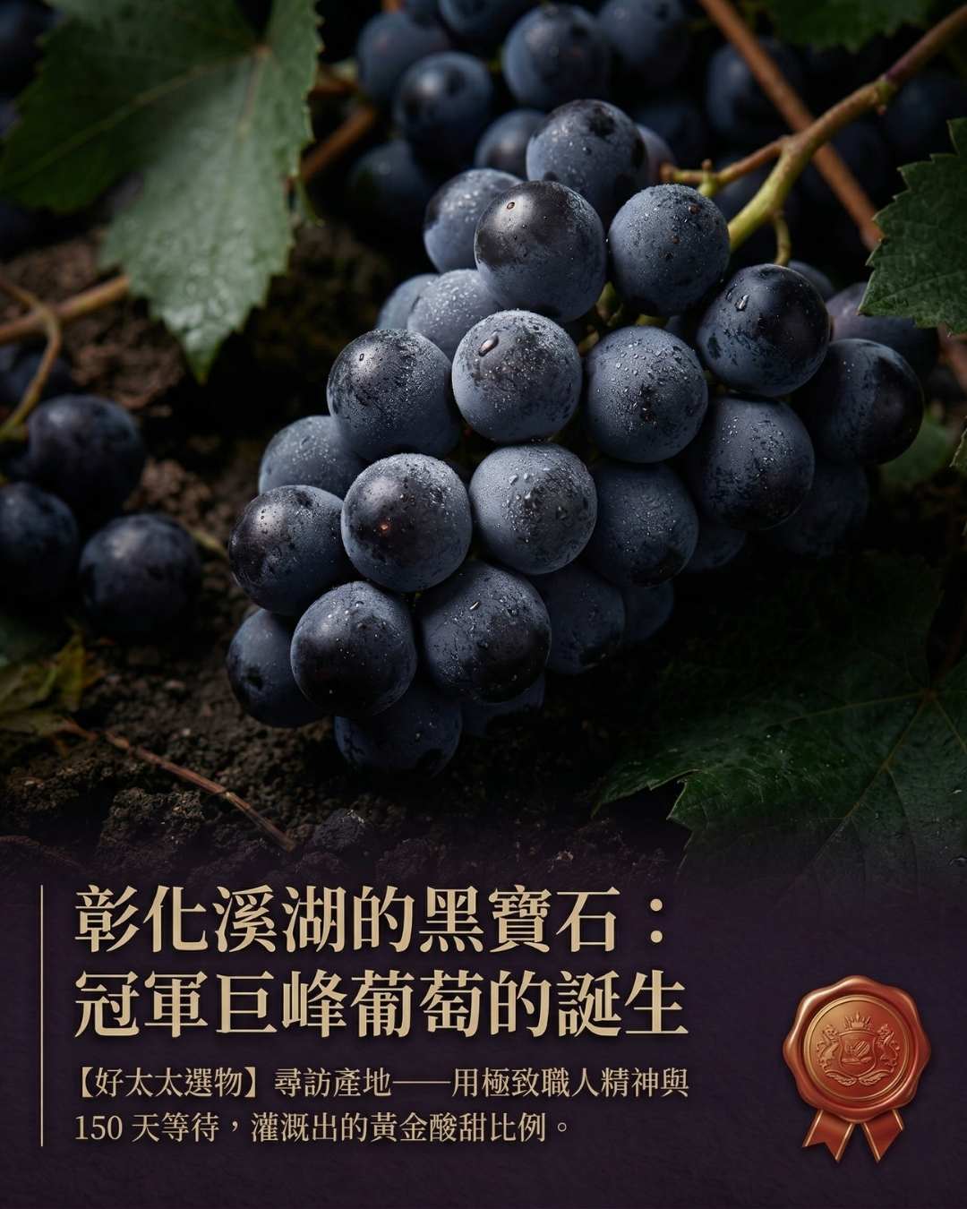 本文探討了彰化溪湖地區的優質巨峰葡萄，特別是由阿傑與依蘋所栽培的「評鑑冠軍巨峰葡萄」。他們以嚴謹的職人精神和深厚的愛心，精心灌溉出超越市面上普遍水準的頂級葡萄，呈現出無與倫比的甜美風味。此項成果不僅標誌著對葡萄栽培技術的追求，更是彰化當地農業文化的一部分。