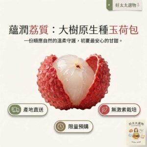 【天生荔質】大樹原生種「玉荷包」荔枝