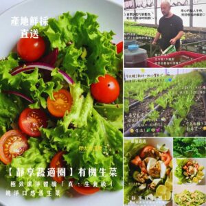 【靜享蔬適圈】有機綜合生菜箱，潔淨體驗「真・生食級」純淨口感活生菜