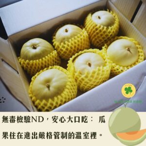 【情深意濃】溫室ND美濃瓜 6顆禮盒裝