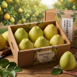 麻豆老欉文旦